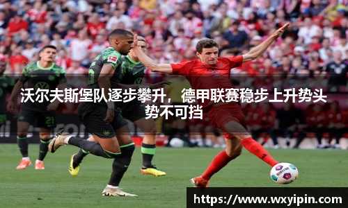 jbo竞博.体育官方网站